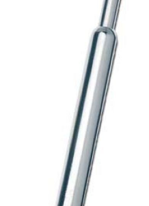 Brossette stylo pour le nettoyage des fraises
