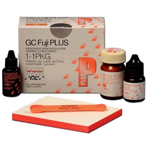 FUJI PLUS COFFRET POUDRE/LIQUIDE