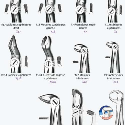 WhatsApp Image 2023-11-21 à 22.38.33_2a59abc9